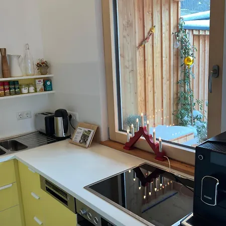 Stadtfüchse Sauna Apartment Bad Ischl