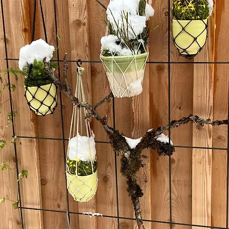 Apartment Stadtfüchse Sauna Bad Ischl